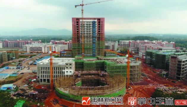 二代供卵试管PGD筛查后还需要做唐氏筛查二代供卵试管PGD筛查后还需要、无创和羊膜穿刺吗？