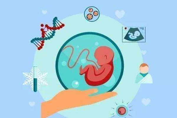 做供卵公立代怀试管怀孕后怎么防止胎停
