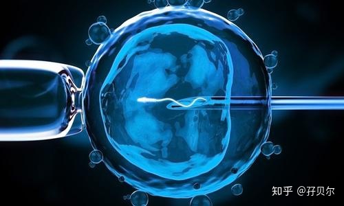 供卵试管生子检查性激素六项是什么要怎么看