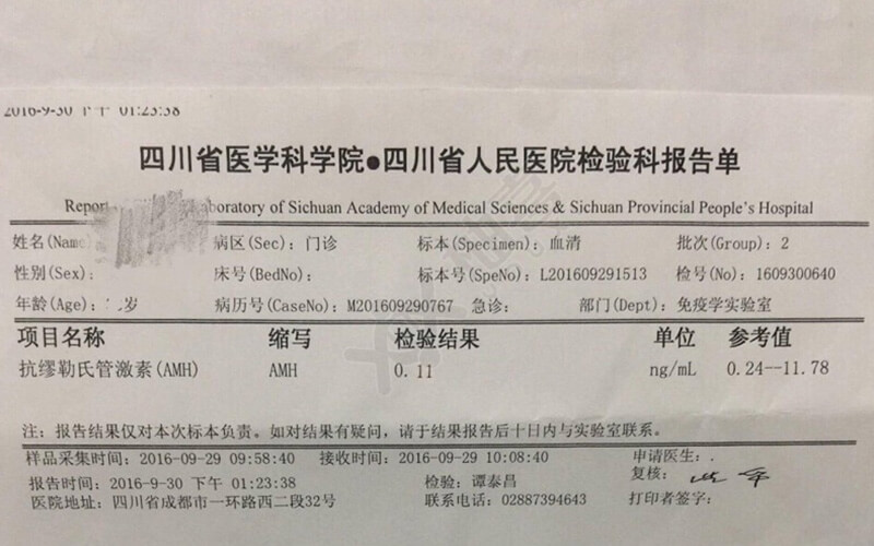 供卵试管胚胎长什么样子图片
