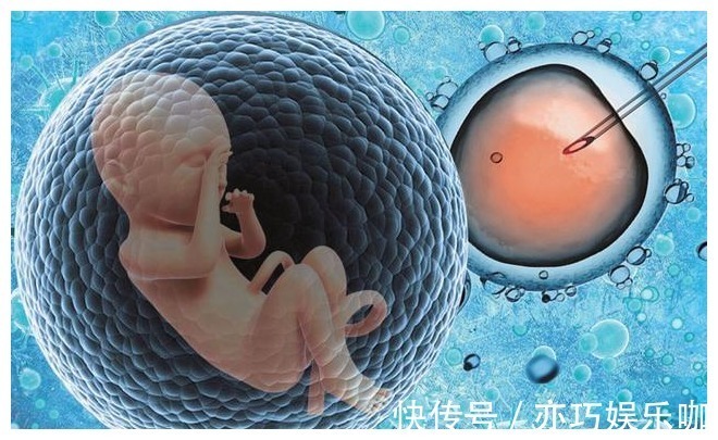 供卵试管婴儿移植后流产身体多久恢复