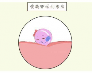 做试管什么意思我不明白