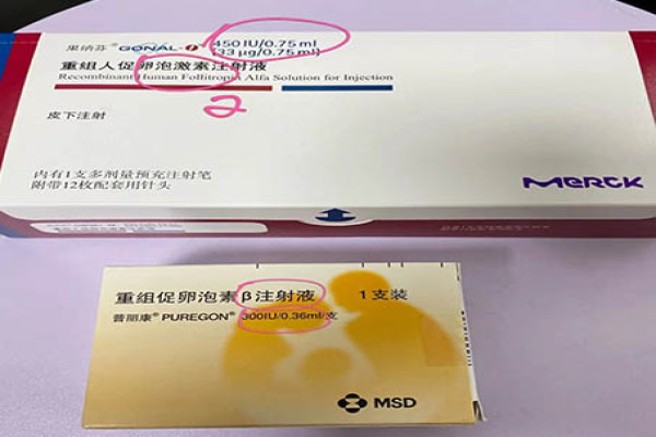 代怀男宝代怀男孩注意事项有哪些？