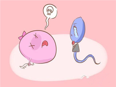 哪里有供卵代怀大概花费
